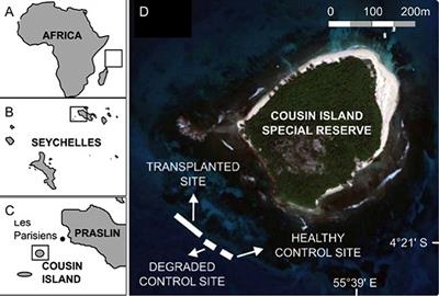 Captive Bred, Adult Giant Clams Survive Restoration in the Wild in Seychelles, Indian Ocean